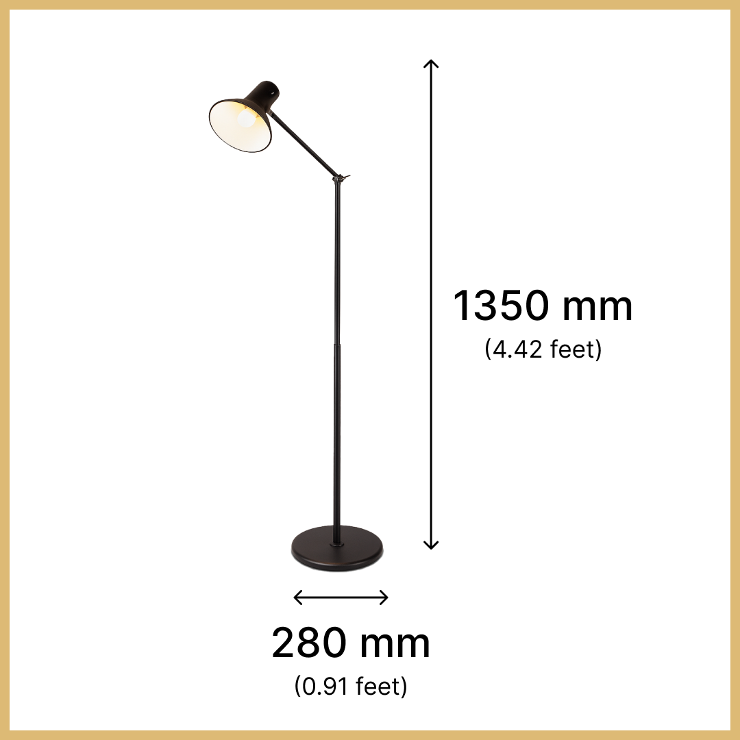 FM With ARM Standard Lamp